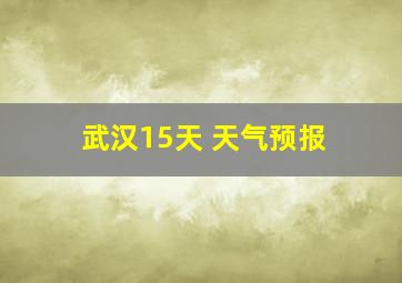 武汉15天 天气预报